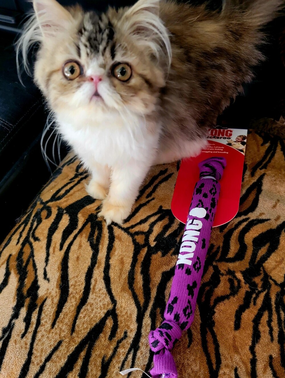 Kong Cat Kickeroo Crunch W Catnip Purple Knit Battle Toy Ea.